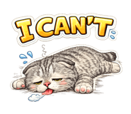 853640628