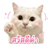 853641105