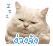 853641110