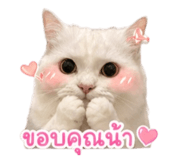 853641112