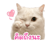 853641119