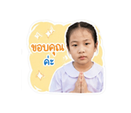 853643325