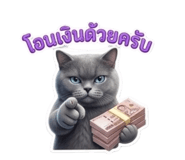 853646441
