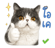 853647571