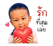 853648032