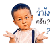 853648038