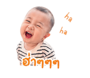 853648124