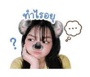 853648430