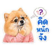 853648801