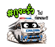 853649065
