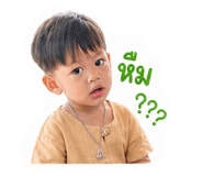 853650736
