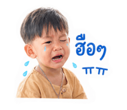 853650737