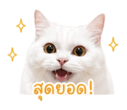 853650756