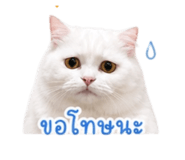 853650757