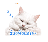 853650759