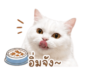 853650761
