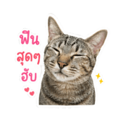 853650948