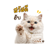853653545