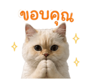 853653552