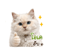 853653557