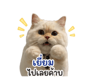 853653560