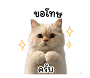 853653561