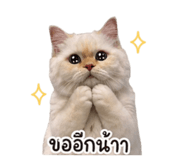 853653579