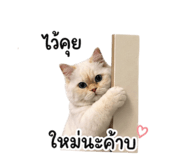 853653580