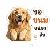 853653882