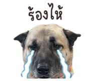 853655337