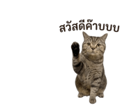 853656041