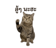 853656049