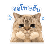 853656597