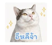 853657366