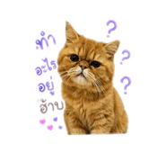 853657689