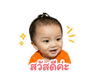 853658593