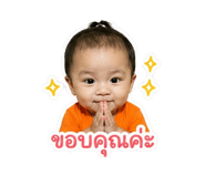 853658602