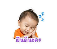 853658604
