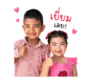 853658647