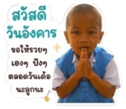 853658802