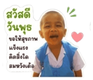 853658803
