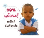 853658809