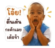 853658811