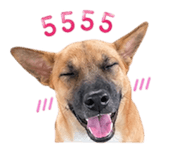 853658939