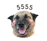 853658964