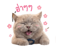 853659015