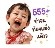 853659811