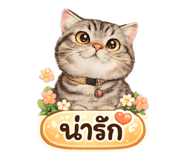 853661101