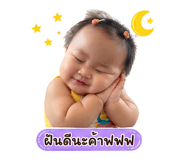 853661427