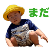 853662354